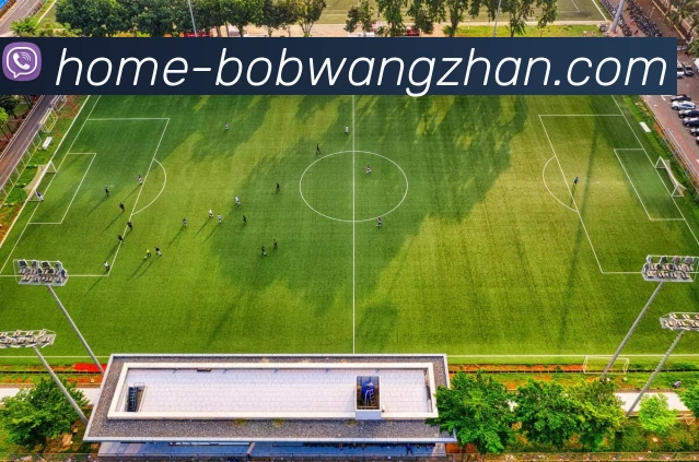 bob官方网站平台生态图