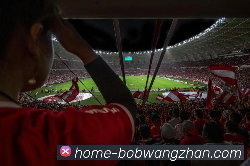 bob官方网站APP 封面图